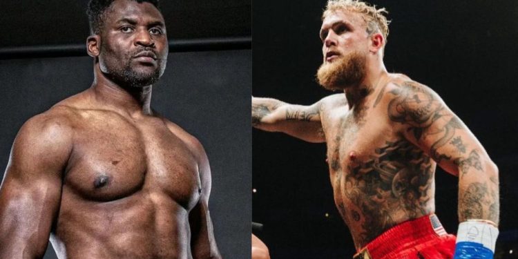 MVP Los Angeles : la carte complète dévoilée, et Jake Paul qui tacle Ngannou