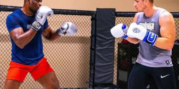 Usyk vs Verhoeven fait polémique : Ngannou et Aspinall montent au créneau